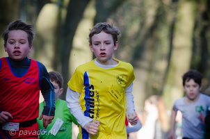 achillescross2016-302
