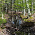 Uurloop-27-04-2021-9937